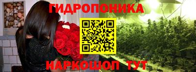 ГАЛЛЮЦИНОГЕННЫЕ ГРИБЫ Нарткала