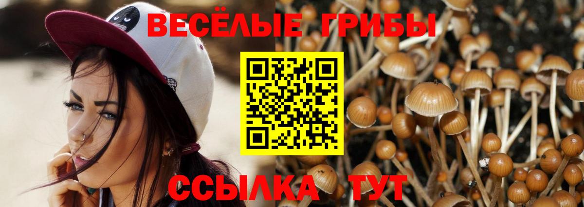 как найти наркотики  Псилоцибиновые грибы Cubensis  Вход с VPN  Соликамск  Галлюциногенные грибы Psilocybine cubensis 